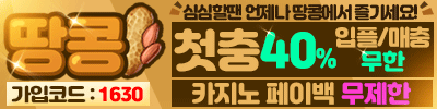 땅콩